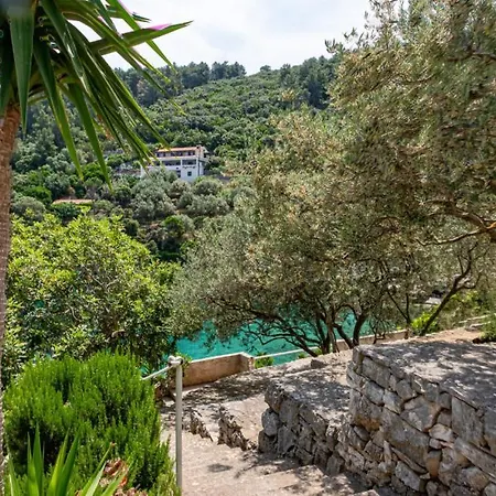 Djoni 1 By Guide * Blato (Korcula)