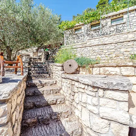 Djoni 1 By Guide Daire Blato (Korcula)